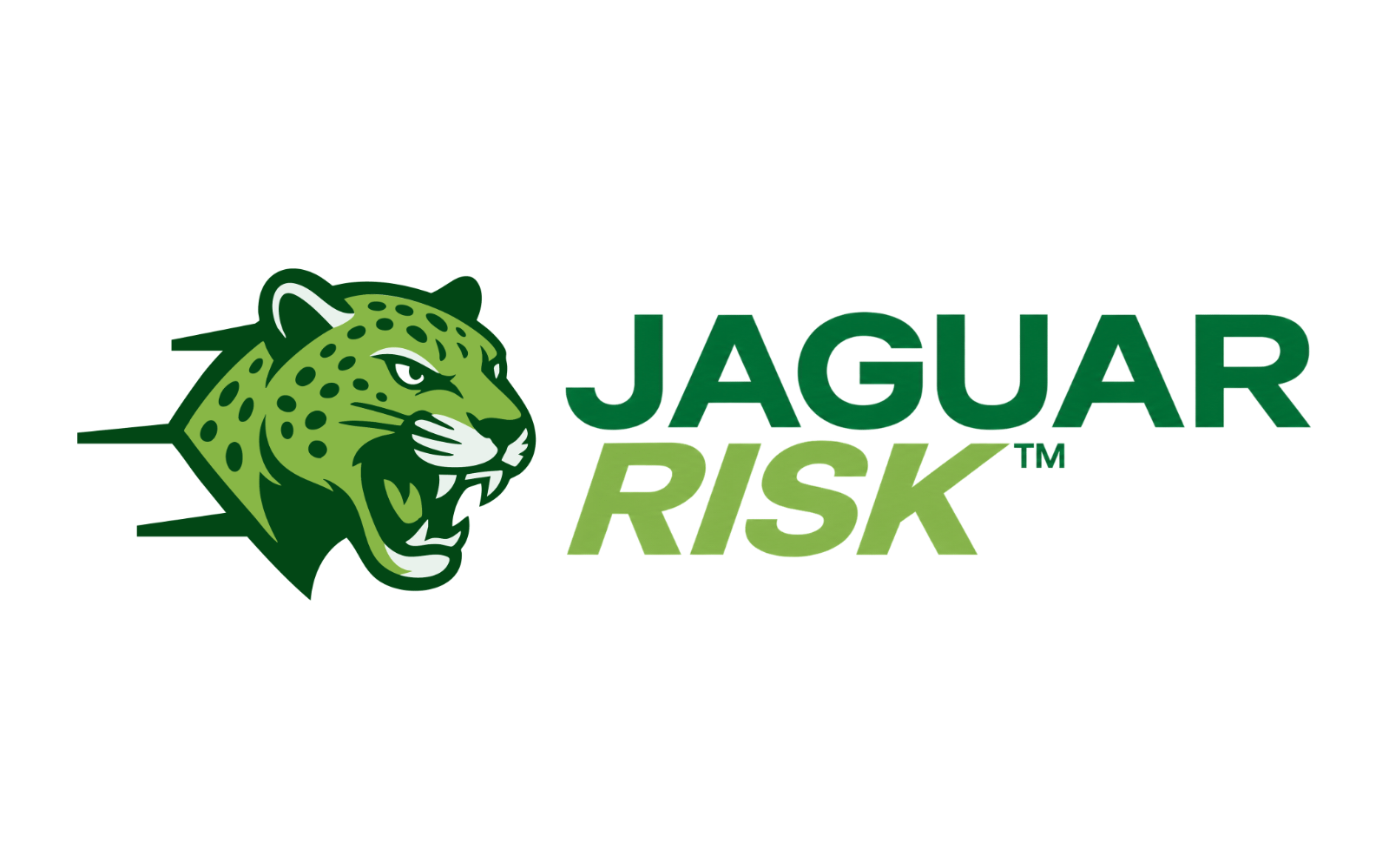 Jaguar Risk: глобальний ребрендинг компанії LIRG у 2026