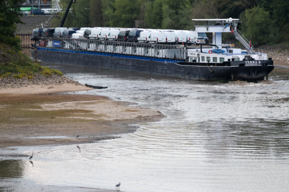 Судно з автомобілями застрягло на Рейні через критичний рівень води