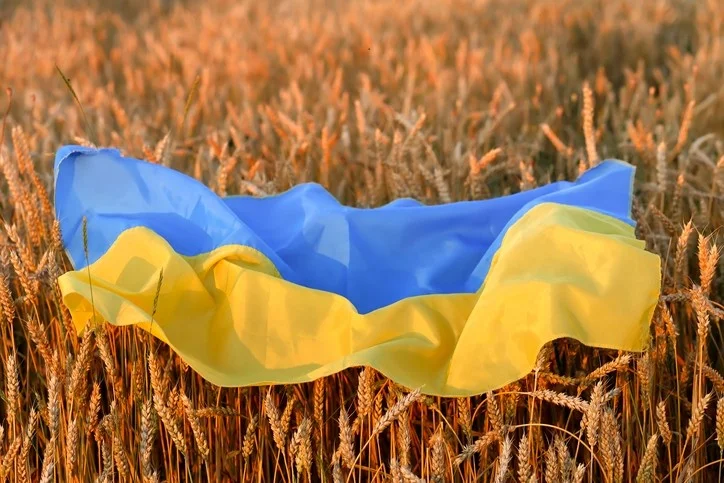 DFC та MIGA: Страхування інвестицій в Україну від політичних ризиків